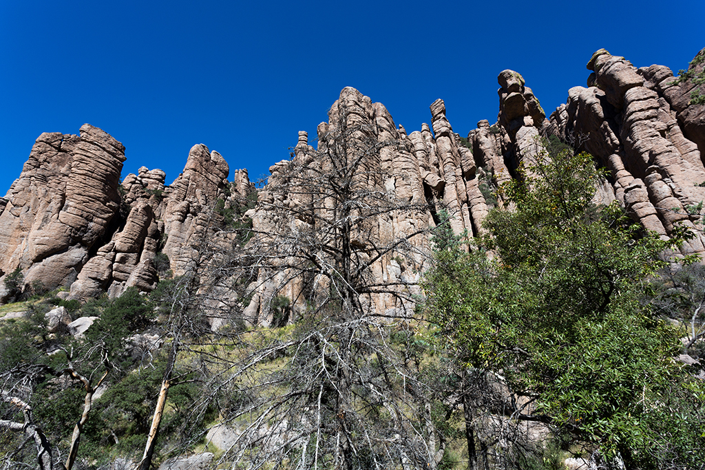 10-23 - 02.jpg - Chiricahua National Monument